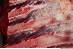 Photo Textures of RAW Ribs Beef Meat